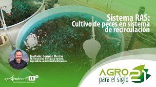 Sistema de Recirculación en Acuicultura 🐟🔄 Agro para el siglo 21 [upl. by Arretal]