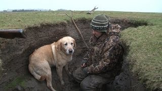 Wildfowling in Scotland [upl. by Beasley]