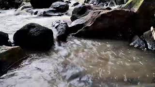 Gentle and calm sound mountain river bird singing meditation stress relaxing sleep study work [upl. by Nylsirhc]