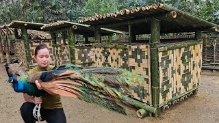 5 Days Build Bamboo House For Peafowl Bird  Start To Finish  Lý Thị Ca [upl. by Ailene]