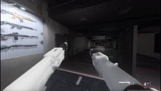 These Shotguns are insane [upl. by Annotahs]