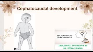 Cephalocaudal development drneerajkumar development growth learner principles [upl. by Sharyl]