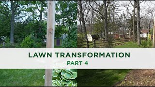 2024 Lawn Transformation  Part 4 [upl. by Mulford772]