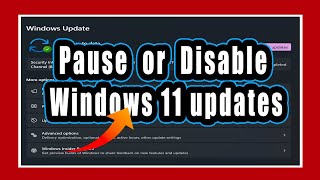 How to pause and disable Windows 11 updates [upl. by Ecirted]