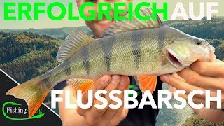 5 TIPPS fürs BARSCHANGELN vom Ufer  FishingKingde [upl. by Fujio]