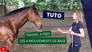 Apprends les bases du travail à pied [upl. by Solon]