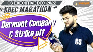 DORMANT COMPANY AND STRIKE OFF DETAILED LECTURE  SBEC PART C MARATHON [upl. by Accire]