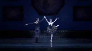 Black Swan pas de deux from Swan Lake Third Act Sofiane Sylve Vito Mazzeo [upl. by Lrac]