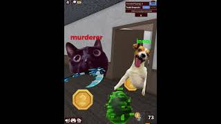 MM2 crazy murdererCAT memes roblox meme bloxfruits murdermystery2 catmemes cat r63 survive [upl. by Arbrab]