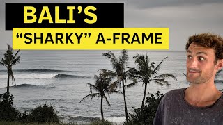 Surfing Balian Bali’s “Sharky” Spot  What’s it Actually Like [upl. by Mcnelly]