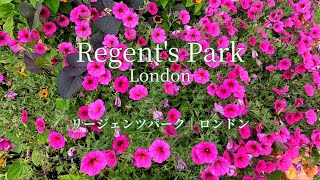 4K Regent’s Park amp Primrose Hill London  リージェンツパーク（ロンドン イギリス） ロンドンを一望できる観光名所 イングリッシュガーデン [upl. by Mathilda647]