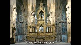 Liszt  Funerailles Pierre Labric on the organ of SaintOuen Rouen [upl. by Pip394]