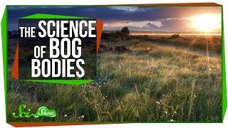 Chemistry amp Corpses The Science of Bog Bodies [upl. by Assiran]