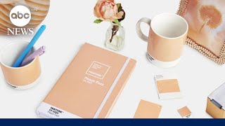 Pantone announces its 2024 color of the year Peach Fuzz [upl. by Anemolif883]