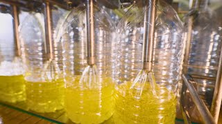 How its Made Sunflower Oil [upl. by Sidoon]