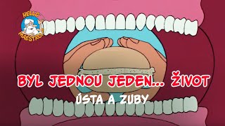 Byl jednou jeden život 🌱 Ústa a zuby 🦷 [upl. by Cayla]