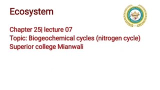 Nitrogen Cycle  Biogeochemical Cycles  Ecosystem [upl. by Lustick681]