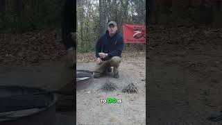 Pro Tips for Building the Perfect Campfire at Torreya State Park [upl. by Araccat]