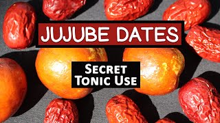 Red Jujube Fruit Secret Tonic Use of a Superfruit Variety [upl. by Adnih102]