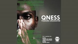 Qness  Fugama Unamathe Aero Manyelo ReWork [upl. by Yert]