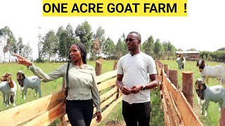 How He Makes PROFITS On An ACRE Of LAND  Goat Demo FARM [upl. by Nobel75]