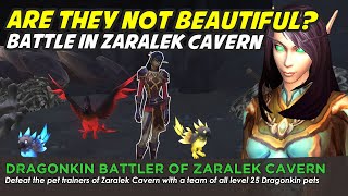 Shinmura Dragonkin team  Family Battler of Zaralek Cavern [upl. by Erlandson]