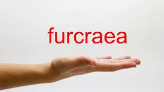 How to Pronounce furcraea  American English [upl. by Latoyia]