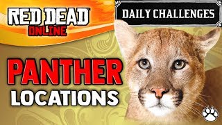 Red Dead Online  Panther Locations  RDR2 Daily Challenge  Panthers Killed [upl. by Humfried]