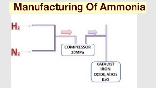 Habers ProcessManufacturing Of Ammonia [upl. by Ahsille]