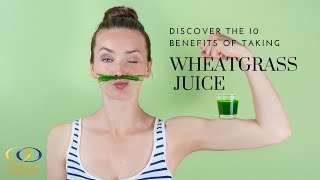 Discover the 10 Benefits of Taking Wheatgrass Juice [upl. by Nerin]