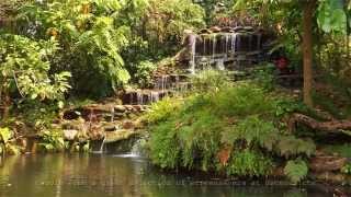 Garden Waterfall Screensaver for Windows 10 or MP4 Video in Full HD [upl. by Lauryn549]