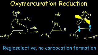 Oxymercuration Demercuration  Oxymercuration Reduction  With detailed mechanism [upl. by Bassett375]