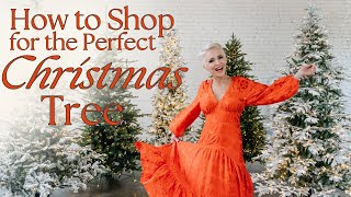 Christmas Tree Shop  My Top 5 Favorite Trees  How to Shop for the Perfect Christmas Tree [upl. by Stout214]