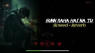 Sunn Raha Hai Na Tu Slowed  Reverb  Lofi Song  Trending Lofi Song  Aashiqui 2  RH LOFI [upl. by Anahsat737]