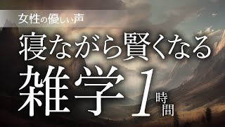 【睡眠導入】寝ながら賢くなる雑学1時間【女性朗読】 [upl. by Ranite]