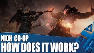 Nioh  Ranking and Reviewing the Better Guardian Spirits [upl. by Silas]