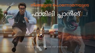 നിങ്ങളുടെ പൊന്നോമനയുടെ ഫാമിലി പ്ലാനിങ് … Sterilisation in animals TheVetvoyages [upl. by Nepets]