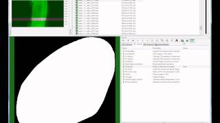 Bruker microCT tutorial Using quotshrinkwrapquot in CTAn to autodelineate a VOI for a fracture callus [upl. by Rehpinnej]