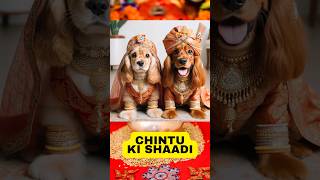 Chintu Ki Shaadi  Adorable Puppy Wedding  Abrars Entry shorts viral [upl. by Mudenihc]