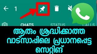 WhatsApp chat pin setting Malayalam [upl. by Teiv]