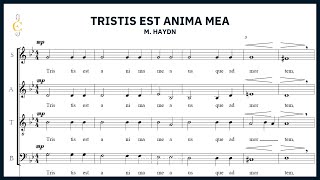 Choeur Ephata  Tristis est anima mea  JM Haydn [upl. by Heron320]