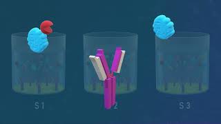 Competitive ELISA Test  Animated Video [upl. by Odnolor727]