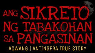 ANG SIKRETO NG TABAKOHAN SA PANGASINAN  Aswang  Antingera True Story [upl. by Ydnerb]