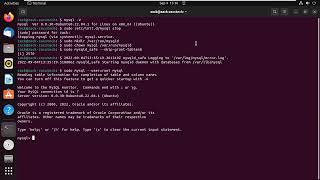 How to Reset the MySQL Root Password on Ubuntu [upl. by Esinal]