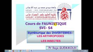 cours de faunistique svi s4 les arthropodes les insectes [upl. by Nyliac]