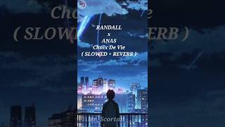 RANDALL x ANAS Choix De Vie  SLOWED  REVERB  lofi song [upl. by Aiam299]