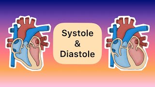 Systole und Diastole [upl. by Deva]