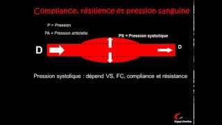 La circulation sanguine et la pression artérielle [upl. by Ennazzus]