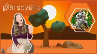 Marsupials  Fun Song for Kids  Koalas Kangaroos Wombats amp Possums  Educational Music for Kids [upl. by Robby]