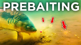 Carp Fishings Biggest Edge How To Prebait Effectively [upl. by Braeunig417]